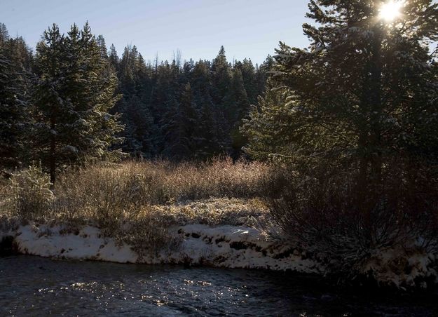 Early Morning Sun. Photo by Dave Bell.