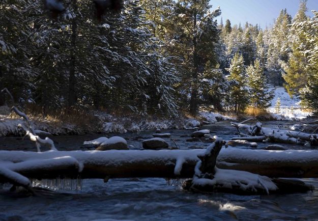 Big Sandy Creek. Photo by Dave Bell.