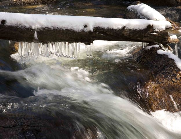 Icicles. Photo by Dave Bell.