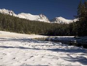 Snowy Meadow. Photo by Dave Bell.