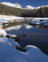 Snowy Reflections. Photo by Dave Bell.