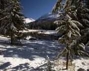 Snowy Scene. Photo by Dave Bell.