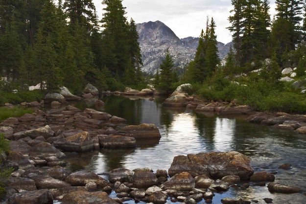 Mountain Stream. Photo by Dave Bell.