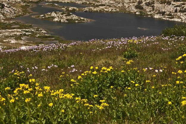 Baldy Basin Lake. Photo by Dave Bell.