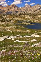 Baldy Basin. Photo by Dave Bell.