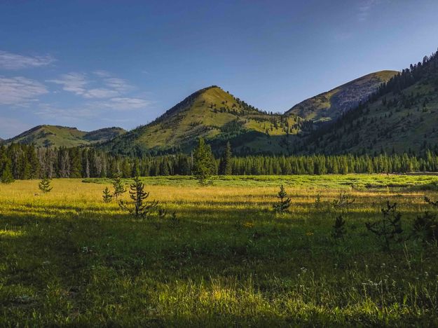 The Cottonwood Creek Valley. Photo by Dave Bell.