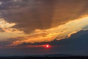 Red Sky. Photo by Dave Bell.