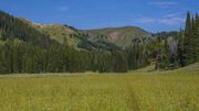 The Faint Cottonwood Trail. Photo by Dave Bell.