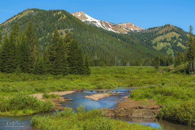 South Cottonwood Valley. Photo by Dave Bell.