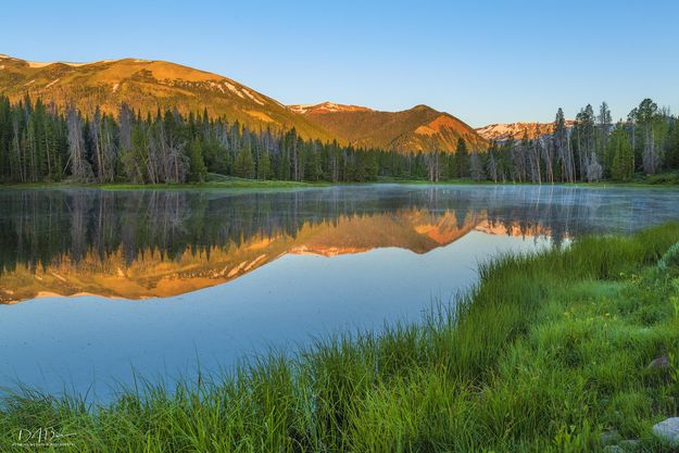 Bare Reflection. Photo by Dave Bell.