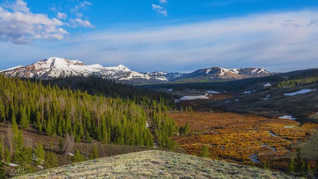 The Beautiful Cottonwood Valley. Photo by Dave Bell.