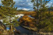 Creek Beeeeennnnd. Photo by Dave Bell.