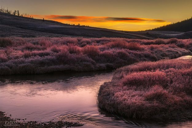 Color Wave. Photo by Dave Bell.