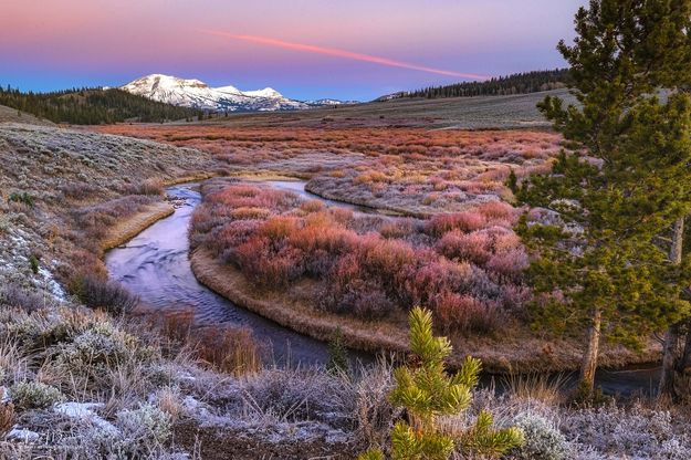 Mt. McDougall And The Willows. Photo by Dave Bell.