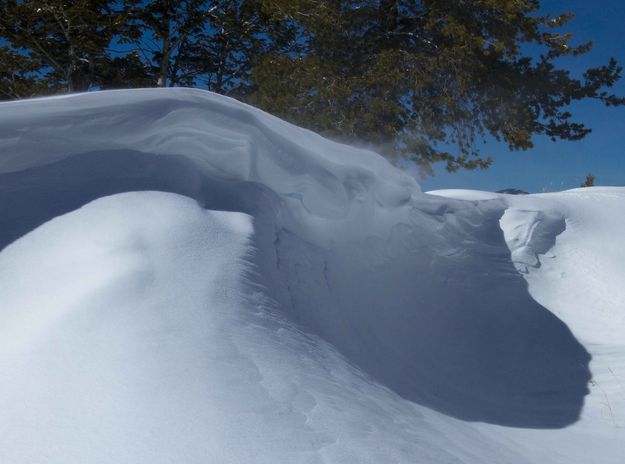 Drift Shadow (Saturday). Photo by Dave Bell.