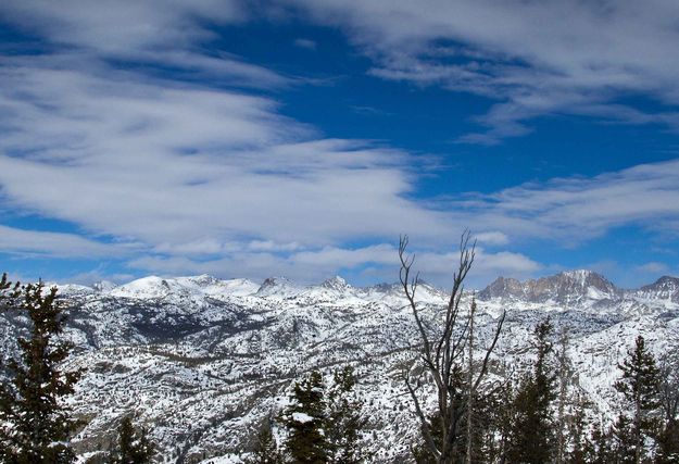 Northern Range (Saturday). Photo by Dave Bell.