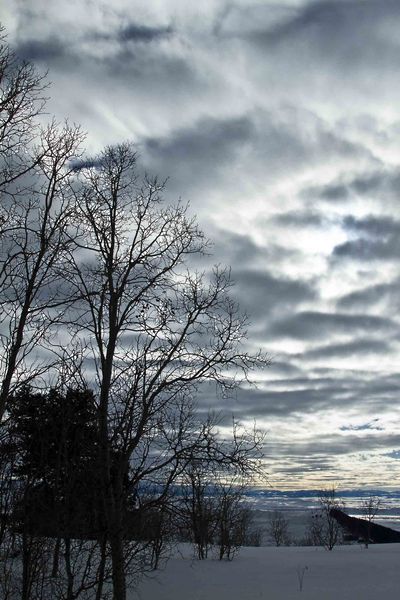 Aspen Silhouette (Saturday). Photo by Dave Bell.