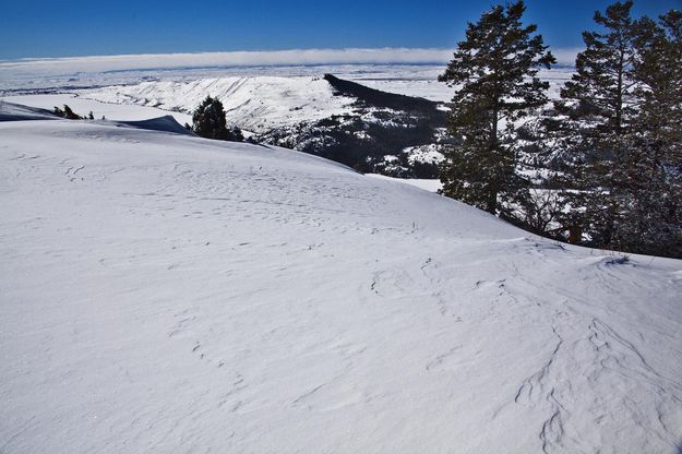 I Can See For Miles And Miles (Presidents Day). Photo by Dave Bell.