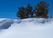 Gently Drifting Snow (Saturday). Photo by Dave Bell.