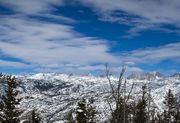 Northern Range (Saturday). Photo by Dave Bell.