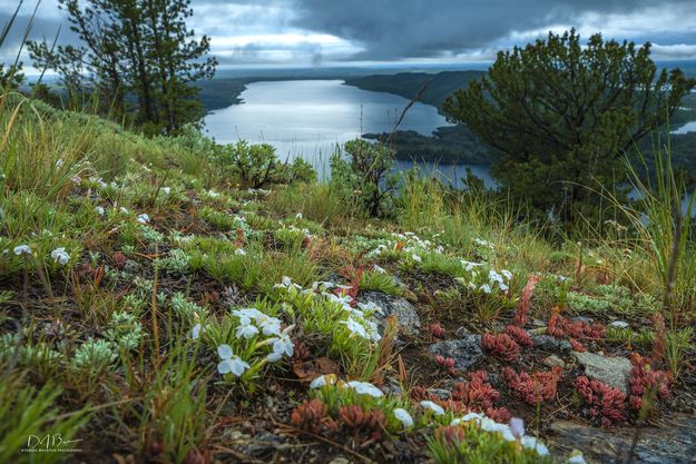 Beautiful Scene. Photo by Dave Bell.