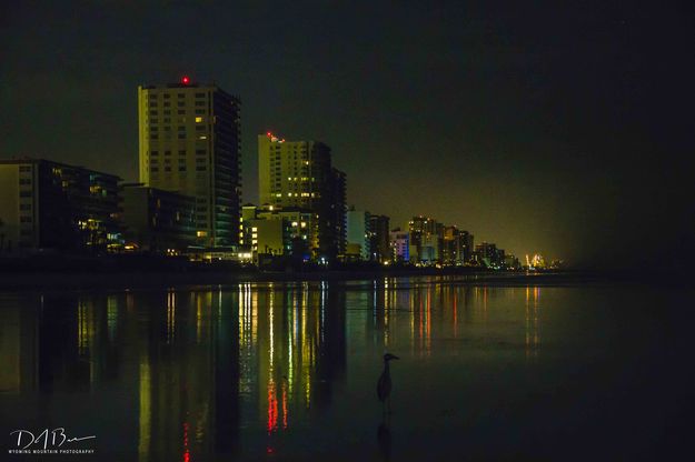 Nightime Beachcomber. Photo by Dave Bell.