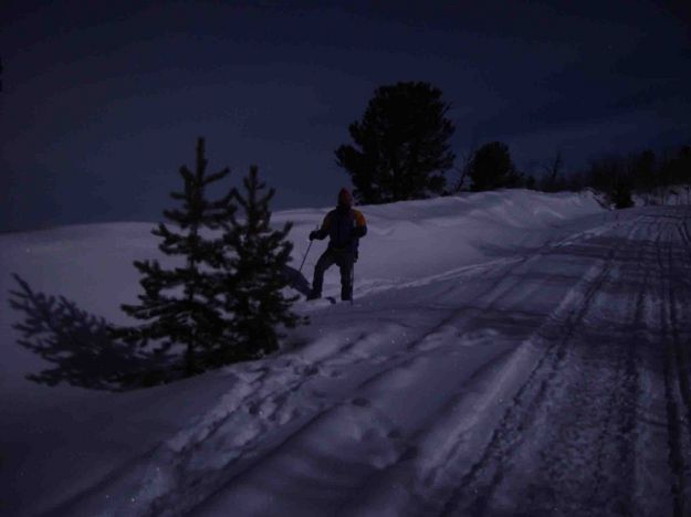 Dale Hill In The Moonlight. Photo by Dave Bell.