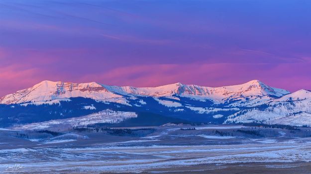 McDougall Color. Photo by Dave Bell.