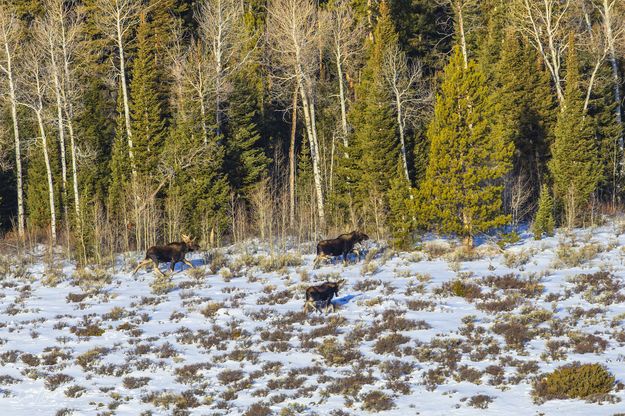 Booking It!. Photo by Dave Bell.