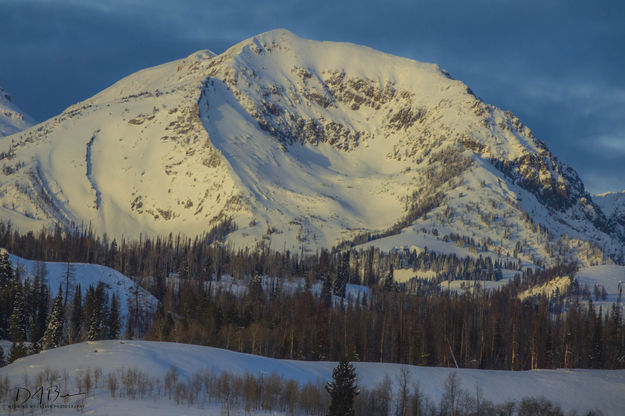 Palmer Cirque. Photo by Dave Bell.