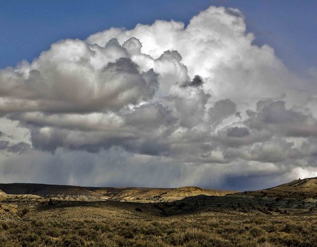 Desert Showers. Photo by Dave Bell.