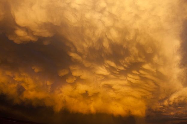 Lots Of Wind. Photo by Dave Bell.