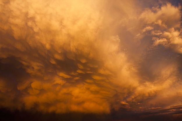 Thunderstorm Light. Photo by Dave Bell.