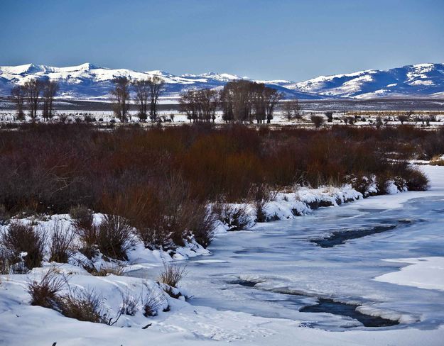 Frozen Green Along Pape Road. Photo by Dave Bell.