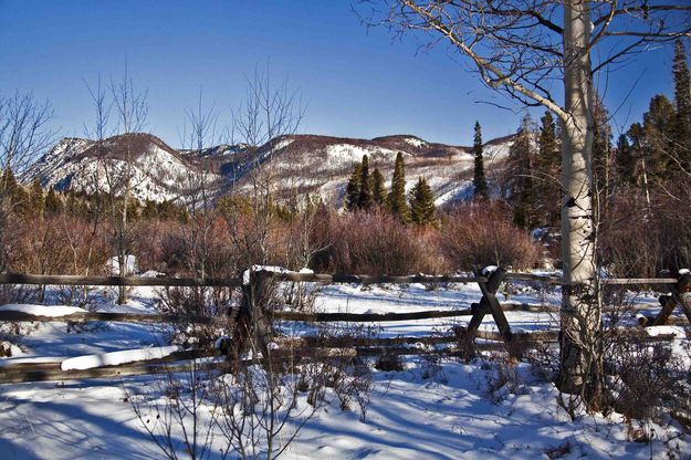 New Fork Lake Scenery. Photo by Dave Bell.