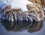 Frosty Reflection In 40 Rod Creek. Photo by Dave Bell.