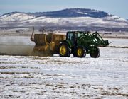 Fred Feeding Bountiful Bovines Healthy Hay In Frozen Field. Photo by Dave Bell.