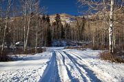 Winter Drive. Photo by Dave Bell.