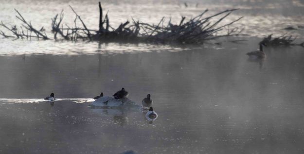 Tranquility Base. Photo by Dave Bell.