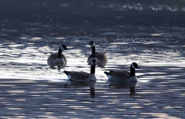 Couples Morning Out. Photo by Dave Bell.