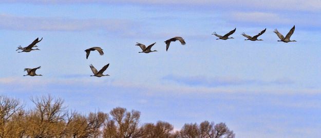 On Their Way. Photo by Dave Bell.