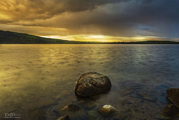 Rain Drops Keep Falling On My Head. Photo by Dave Bell.