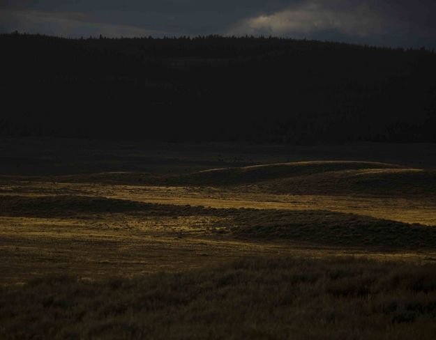 Late Sun And Shadows. Photo by Dave Bell.