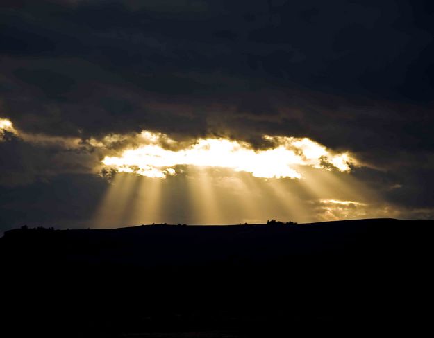 Sunbeams!. Photo by Dave Bell.