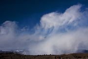 Last Gasp Snow Flurry. Photo by Dave Bell.