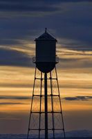 Nicely Silhouetted. Photo by Dave Bell.