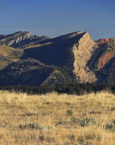 Faulting. Photo by Dave Bell.