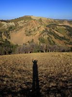 Waving Tall Man. Photo by Dave Bell.