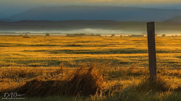 Beautiful Morning Light. Photo by Dave Bell.