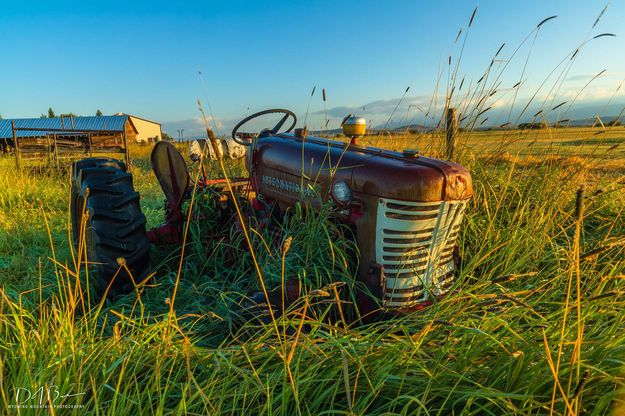 Days Gone Bye. Photo by Dave Bell.